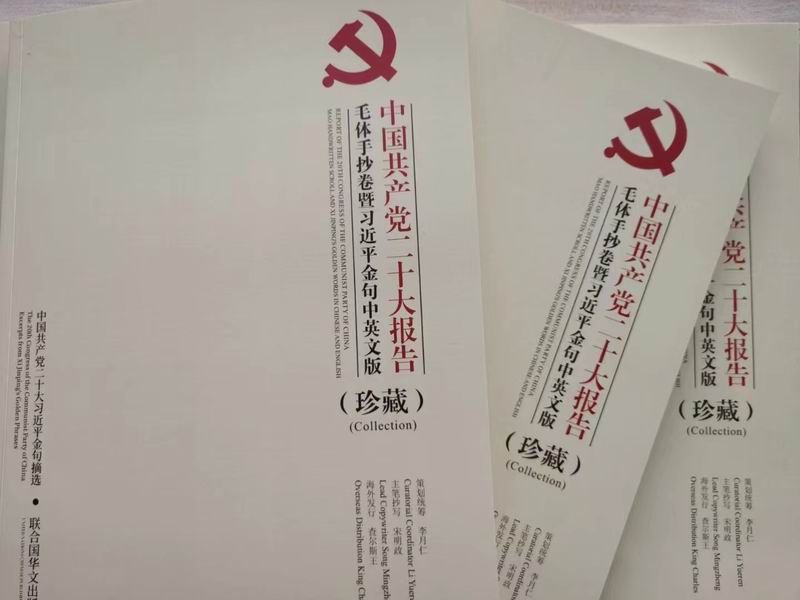 二十(shi)大報告