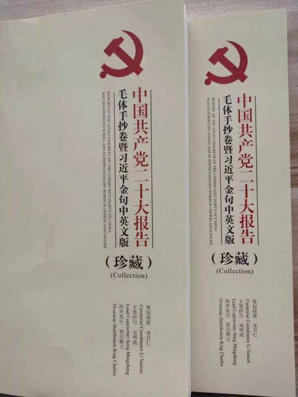 二十(shi)大(da)報告(gao)