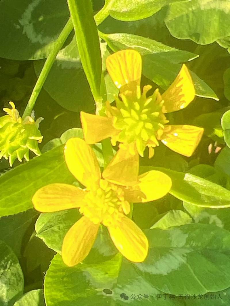 640_wx_fmt=jpeg&tp=webp&wxfrom=5&wx_lazy=1&wx_co=1